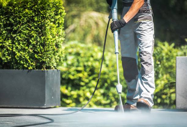 Best Sign and Awning Cleaning  in Roxboro, NC