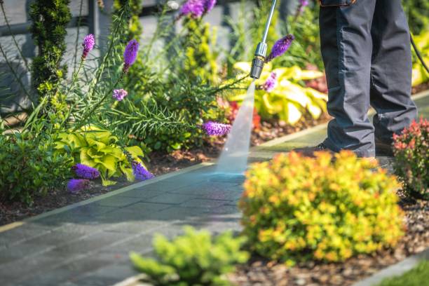 Best Post-Construction Pressure Washing  in Roxboro, NC