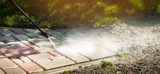 Best Building Exterior Washing  in Roxboro, NC