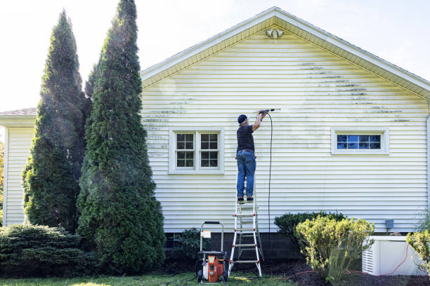 Best Roof Washing  in Roxboro, NC